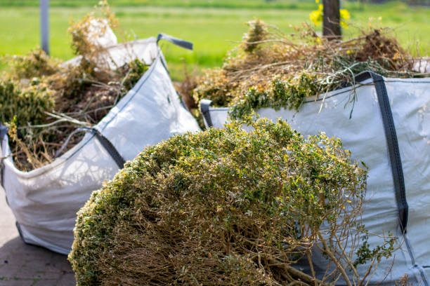 Yard Cleanup Services in Arcadia, FL